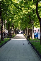 Приморський бульвар, Одеса
