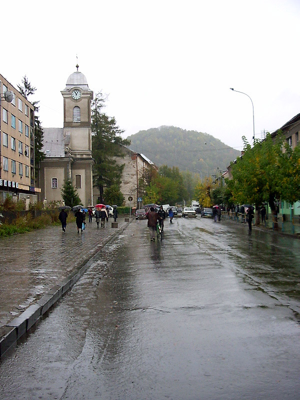Центр міста і Замкова гора