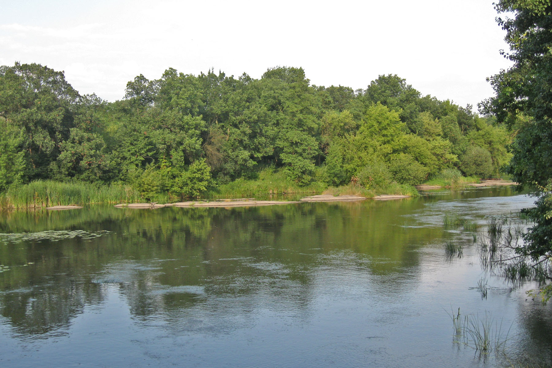 Річка Рось в околицях м. Корсунь-Шевченківський